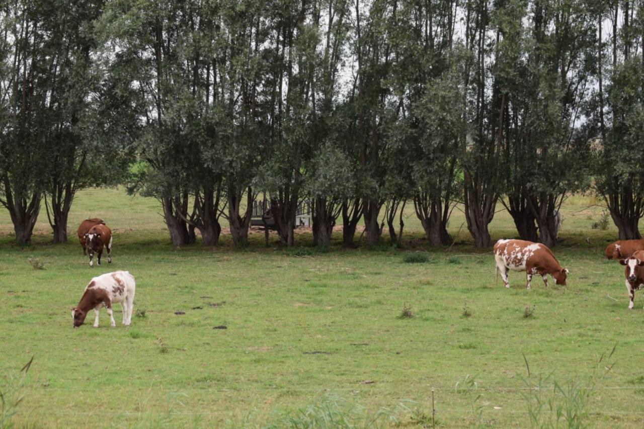 B&B 'T Steurgat Werkendam Bagian luar foto